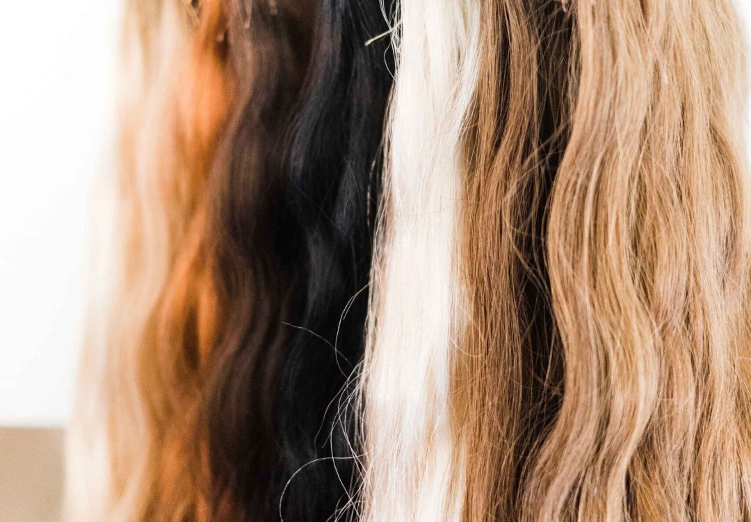 COVET AND MANE caption